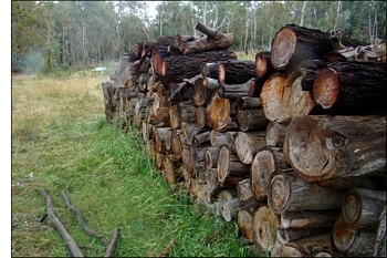 logs for sale